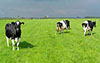 images/WERKPLAATS08.jpg